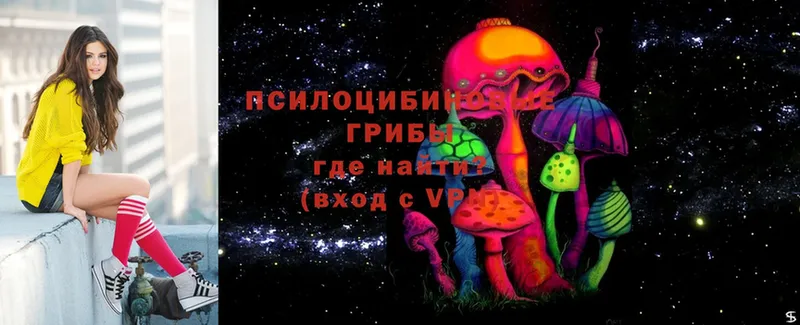 мега зеркало  купить   Калач  Псилоцибиновые грибы Cubensis 